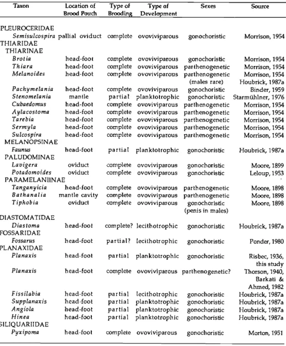 TABLE 4. Distribution of brooding and reproductive strategies among the Cerithioidea 