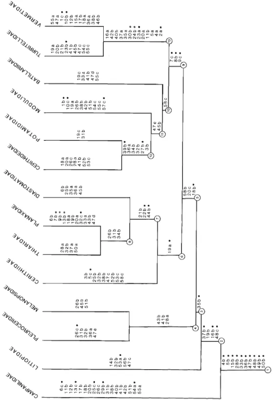 FIG. 2. Cladogram illustrating phylogeny of Cerithioidea (length = 161; Cl = 49.69). 