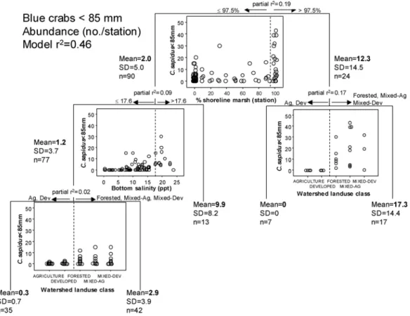Figure 12. Results from CART analysis of juvenile blue crabs < 85 mm (no. station -1 )