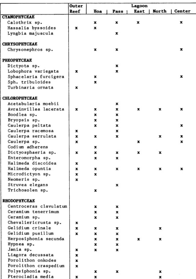 Table  B:  Distribution  of  the main algal species in the lagoon and the  outer reef
