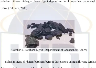 Gambar 5. Batubara Lignit (Departement of Geosciences, 2009)  