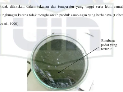 Gambar 7. Batubara Cair (Dokumen Pribadi, 2010) 