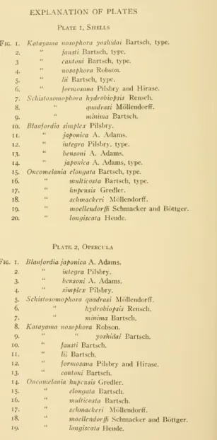 Fig. I. Kalayama nosophora yoshidai Bartsch, type.