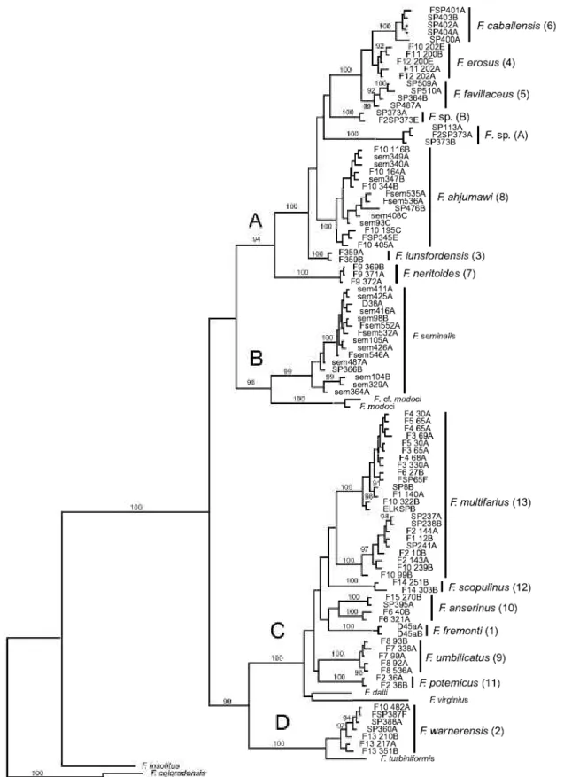 Figure 2. Bayesian phylogram for c}d;ochrome c oxidase subunit I sequences. Upper Sacramento River basin haplotypes  are distributed among clades A—D