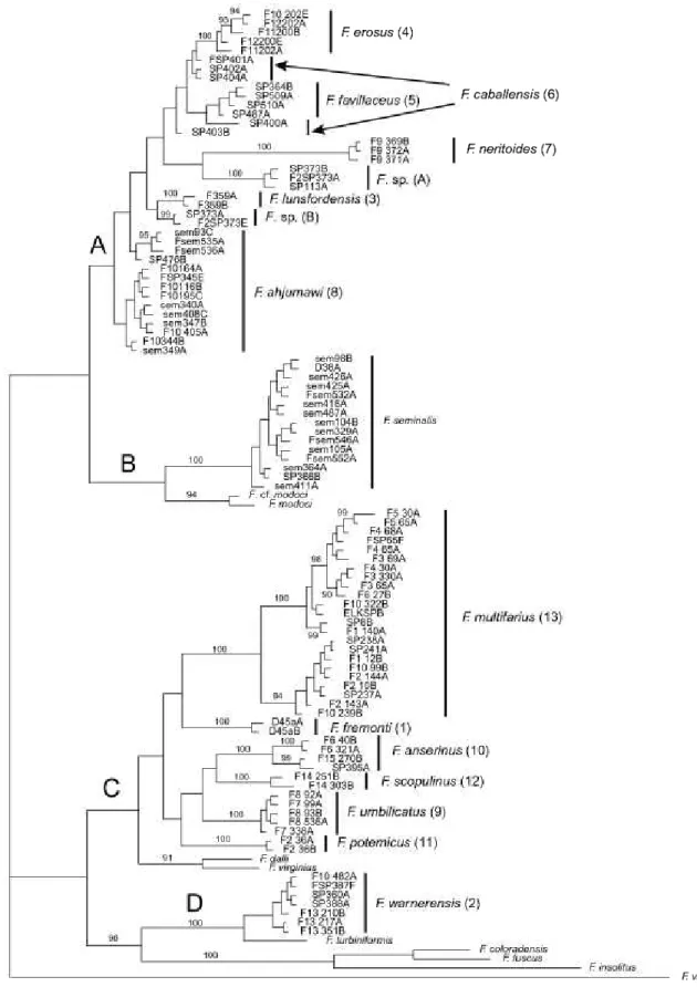Figure 3. Bayesian phylogram for cytochrome b sequences. Upper Sacramento River basin haplotypes are distributed  among clades A—D