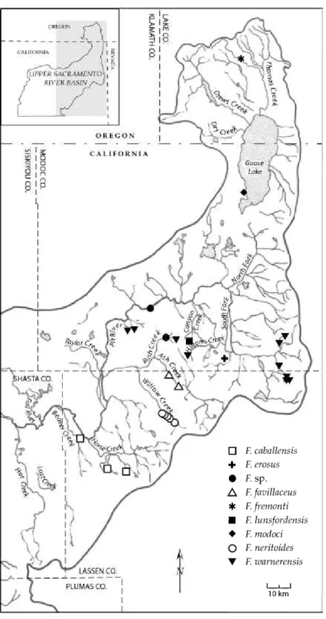 Figure 9. Map showing the distribution of eight species (plus Fluminicola sp.) in the Goose Lake and Pit River basins