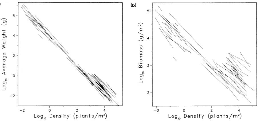 Figure  7.2.  Previous  analysis  of  the  overall  size-density  relationship  among  thinning  lines
