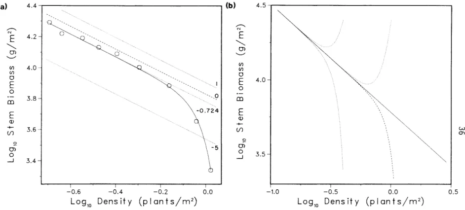 Figure  2.3.  Basic  model  fitted  to  data  from  a  Pinus  strobus  plantation.  Model  parameters  are  go=  0.5,  m = 0.0475,  f  = 0.006,  and  p  = 0.29