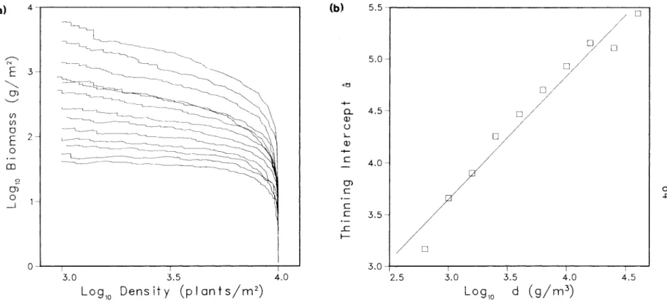 Figure  3.4.  Effect  of  the  density  of  biomass  in  occupied  space,  d,  on  the  self-thinning  line