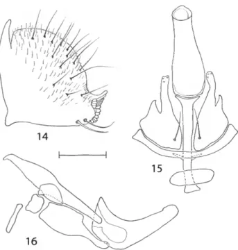 FIGURE 17.—Distribution map for Nostima canens Cresson.