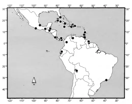 FIGURE 45.—Distribution map for Noslima gilvipes (Coquillett).