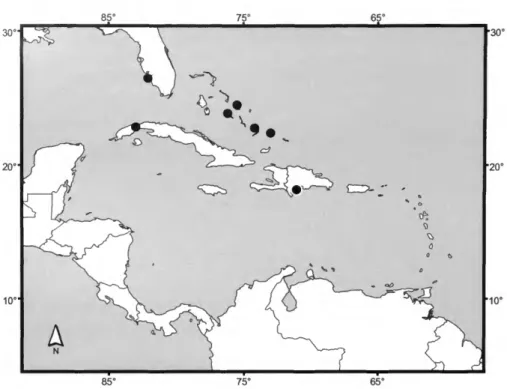 FIGURE 49.—Distribution map for Nostima giovannolii Wirth.