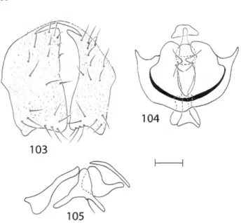 FIGURE 106.—Distribution map for Nostima sinmlijlavida, new species.