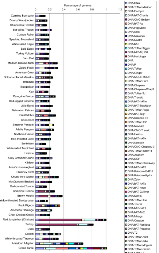 Fig. S4. The proportion of DNA transposons in the genomes of birds and outgroups. 