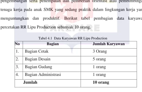 Tabel 4.1  Data Karyawan RR Lipu Production  
