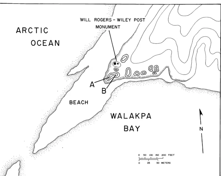FIGURE 4.—Topographic map of Walakpa site, showing mounds A and B. 