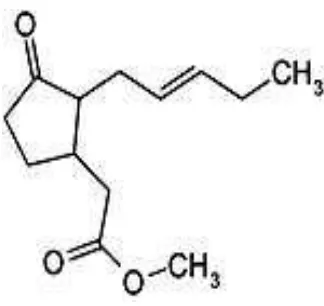 Gambar 2.7.  Metil Jasmonat 
