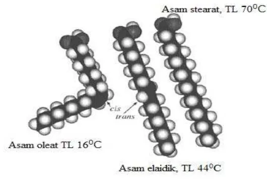 Gambar 1. Sruktur molekul asam oleat (cis-9, titik leleh 160C), asam elaidik (trans-9, titik leleh 440C), dan asam stearat (titik leleh 700C)