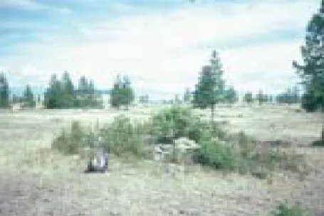 Figure 8: Mound site on terrace north of Shishiged River