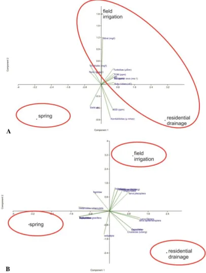 Figure 1. PCA Analysis of Abiotic Factor and Macrobenthic of 3 Water Bodies at Ngenep Village  A: Abiotic Factor; B: Macrobenthic 