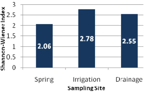 Figure 3.   Shannon-Wiener  Diversity  Index  of  Spring,  Irrigation and Residential Drainage 