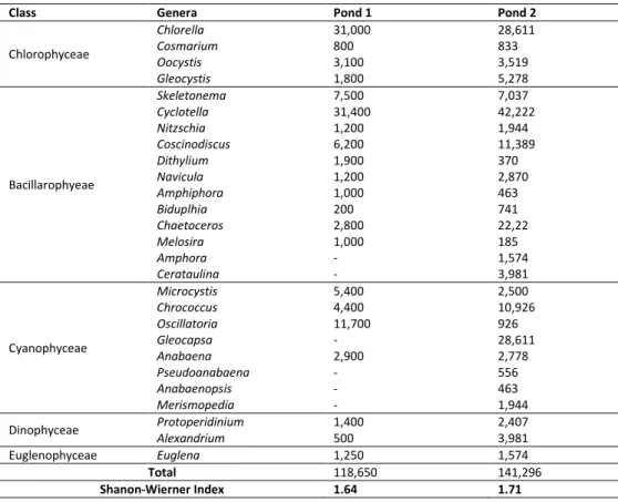 Table 1. The Average of Phytoplankton Density of Both Ponds 