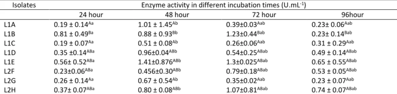 Table 2. The activity of amylolytic bacteria in different incubation time  Isolates  Enzyme activity in different incubation times (U.mL -1 ) 