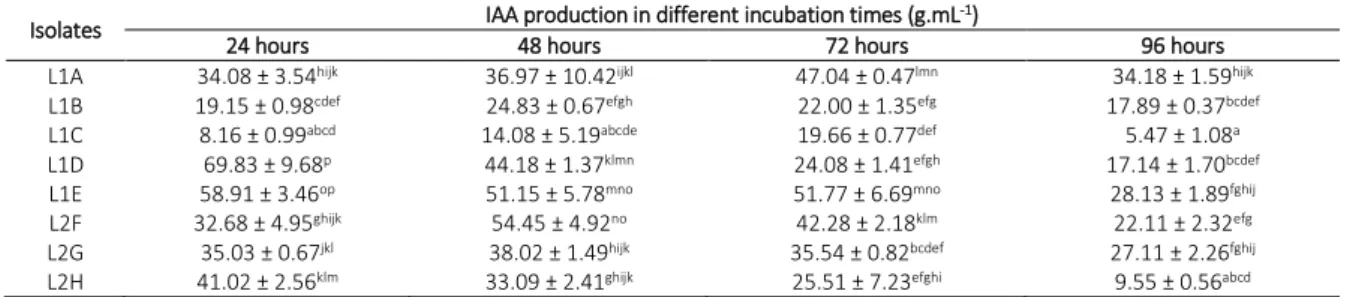 Table 3 The IAA production in different incubation times Isolates  IAA production in different incubation times (g.mL -1 ) 