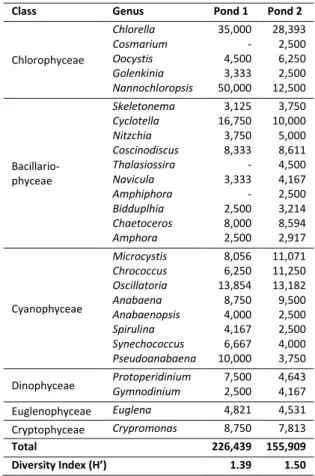 Table 1. Phytoplankton Identified 
