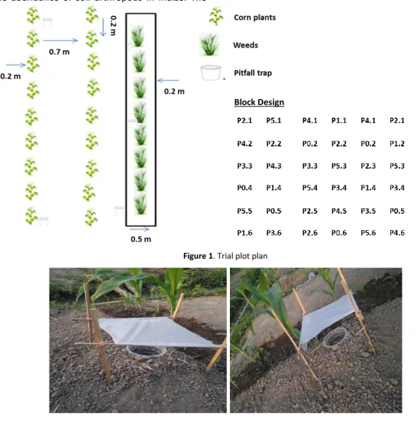 Figure 1. Trial plot plan 