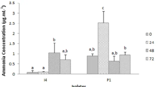 Figure  3. Ammonia  concentration  by  bacteria  at  variant  incubation times 