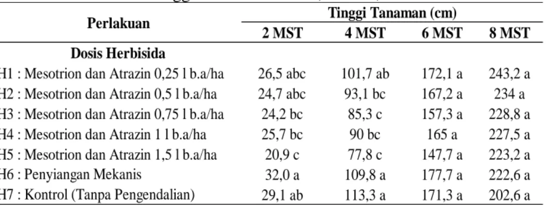 Tabel 4. 10 Rerata Tinggi Tanaman 2 MST, 4 MST, 6 MST dan 8 MST 