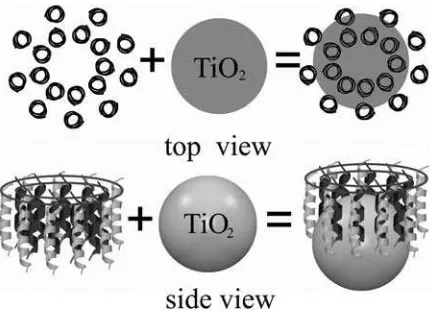 FIGURE 1Schematic diagram for the assembling between LH2 complexand the TiO2 nanoparticle.
