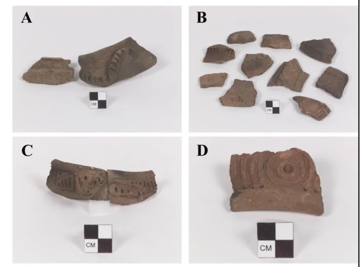Figure 3. Examples of pottery from the Turks and Caicos recovered by de Booy (National  Museum  of  the  American  Indian,  Cat