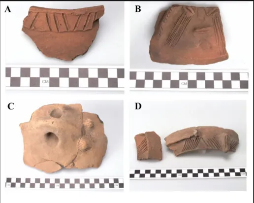 Figure 7. Examples of stone (A and B) and shell (C and D) objects recovered by de Booy at the site  of Retreat, Jamaica (National Museum of the American Indian, Cat