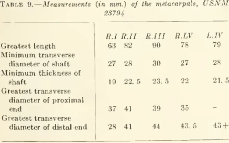 The shortest metacarpal (pi. 4, fig. 5 ; length, 63 mm.)