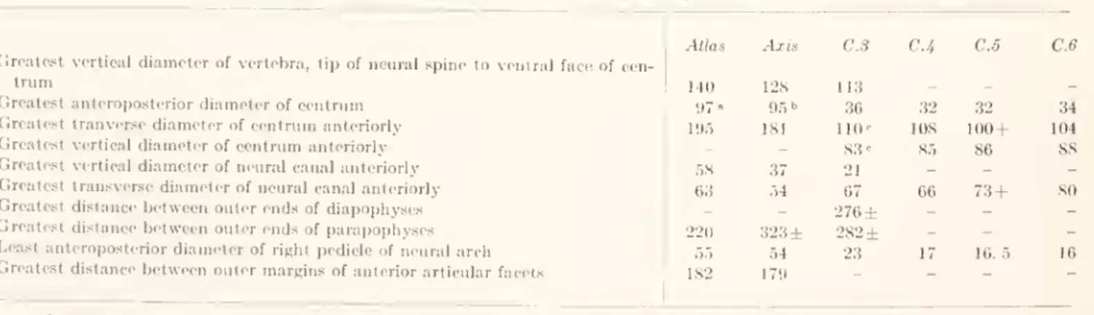 plete left process (pi. 5, fig. 3) is elongated, bent backward, and perforated by a large foramen  trans-versarium ; the lower bar of this process is very thick (38 mm.) at the base and the upper is thin,  anteropos-teriorly compressed