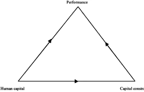 Figure 1. The Endogenous Triangle.