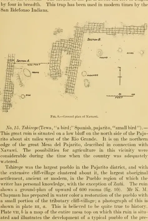 Fig. 9. — Ground plan of Navawi.