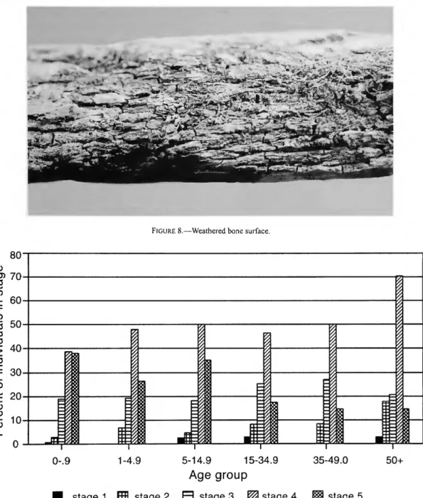 FIGURE 8.—Weathered bone surface. 