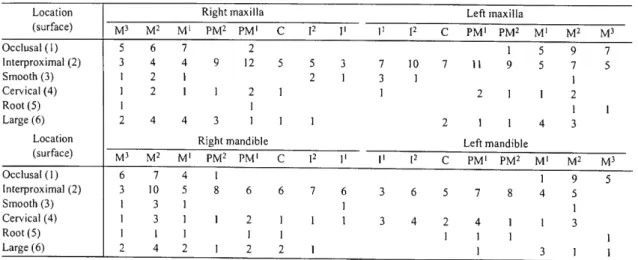 TABLE 15.—Locations of carious lesions of permanent teeth in males. 