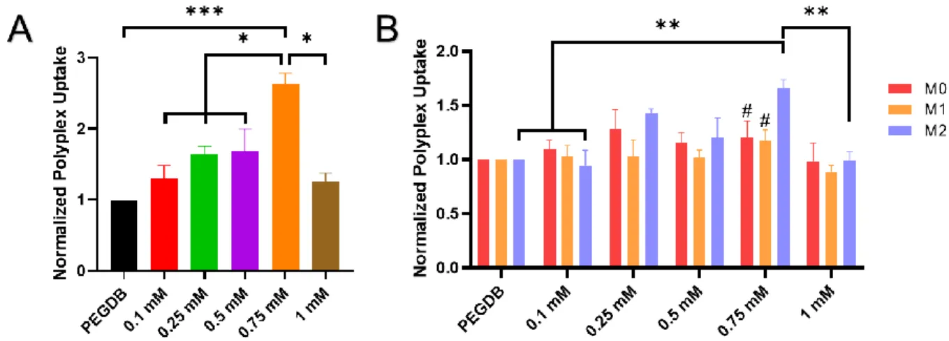 Figure 2.4: Polyplex uptake evaluated in human and murine macrophages. (A) ThP-1 human macrophages  displayed preferential uptake of polyplexes formed with the 0.75 mM copper catalyst