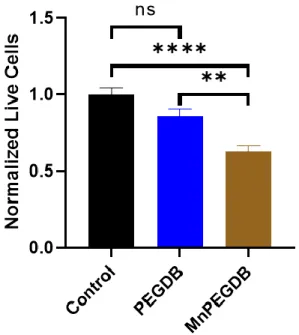 Figure 2.S1: Polyplex Toxicity in ThP-1 Human Macrophages