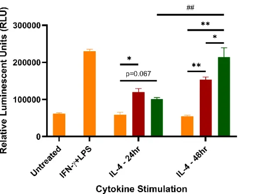 Figure 3.1: NF-κB Activation in MnNP-Treated Polarized NGL-BMDMs. BMDMs isolated from NGL  reporter mice were polarized to M1 (IFN-γ+LPS) or M2 (IL-4, 24 or 48 hours) or left unpolarized (M0) and  examined for luminescent readout