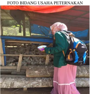 FOTO BIDANG USAHA PETERNAKAN 