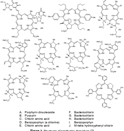 Figure 2. Structures of porphyrins derivatives [7]