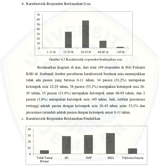 Gambar 4.2 Karakteristik responden berdasarkan usia 