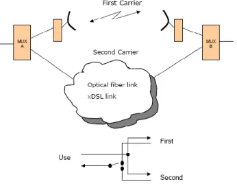 Gambar 10. Proteksi (1+1) 