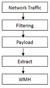 Figure 3 Flow Capturing Process 