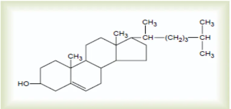 Gambar  2.1 : Struktur Kolesterol 